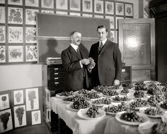 image from www.shorpy.com