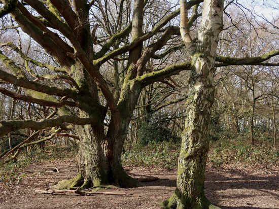 IMG_6877s