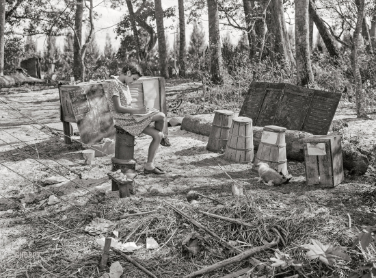 image from www.shorpy.com