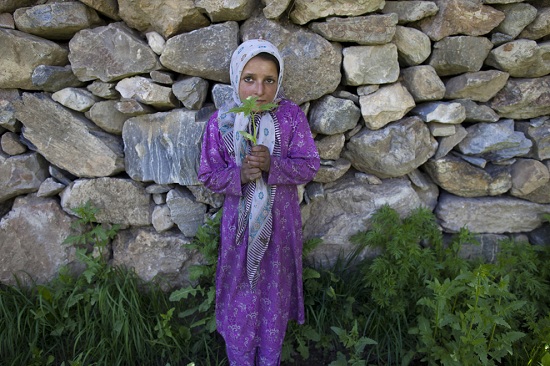Afghanbp19