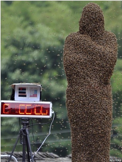 Bees4
