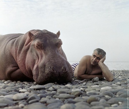 Hipporussian