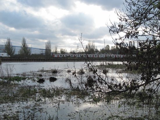 IMG_7618s