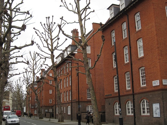 IMG_8201s2
