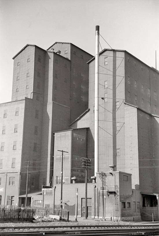 SHORPY_grain8a10757u