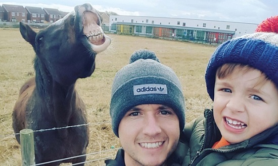 Horse-teeth