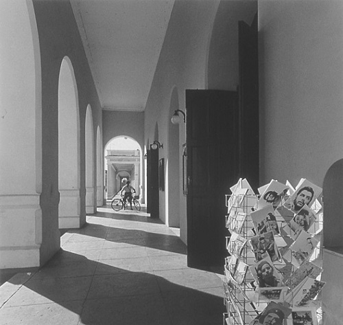 Algaze12