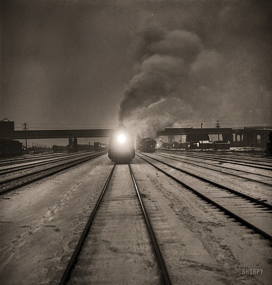 SHORPY-8d24322a_0
