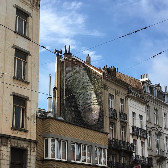 Brussels-penis Brussels-penis