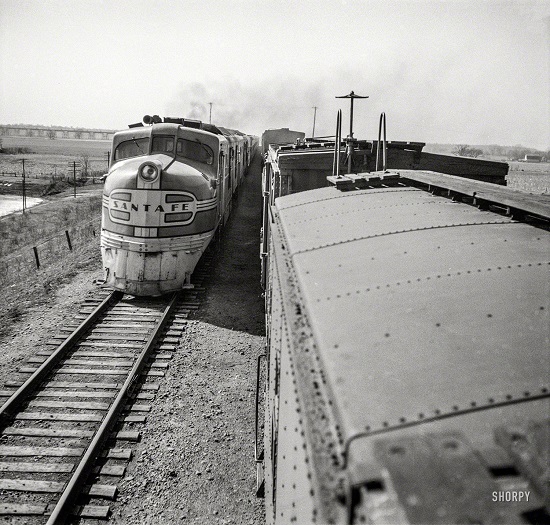 SHORPY-8d26471a