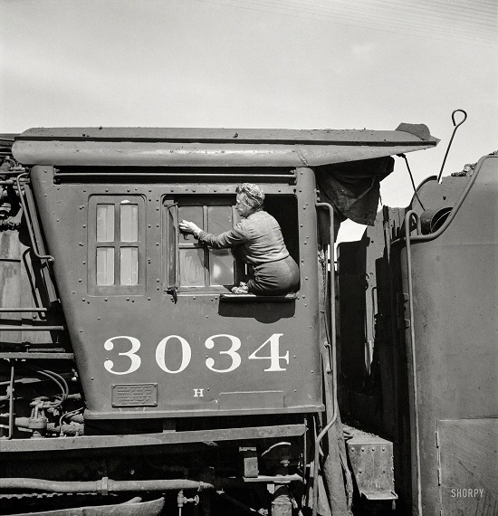 SHORPY-8d29254a