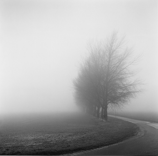Paulhart-lapwaterlane