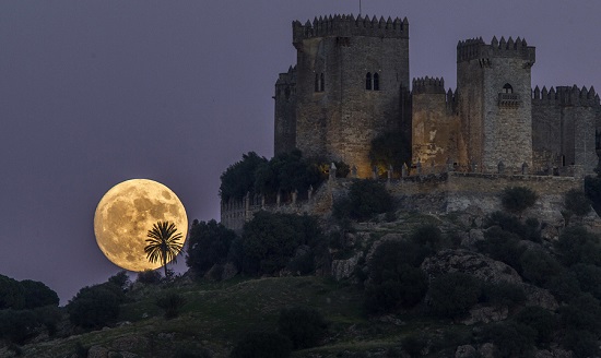 Moon14