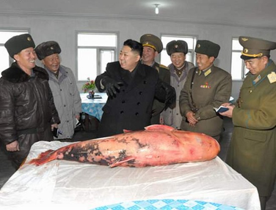 Kim-fish1