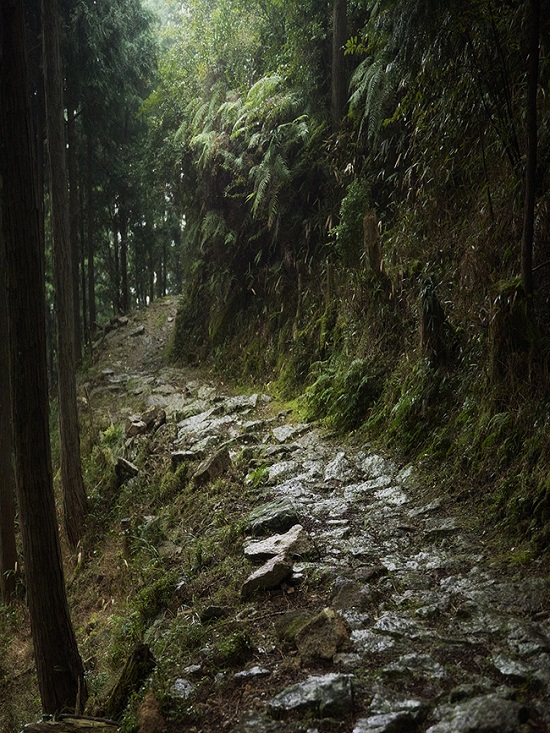 TheWalk43