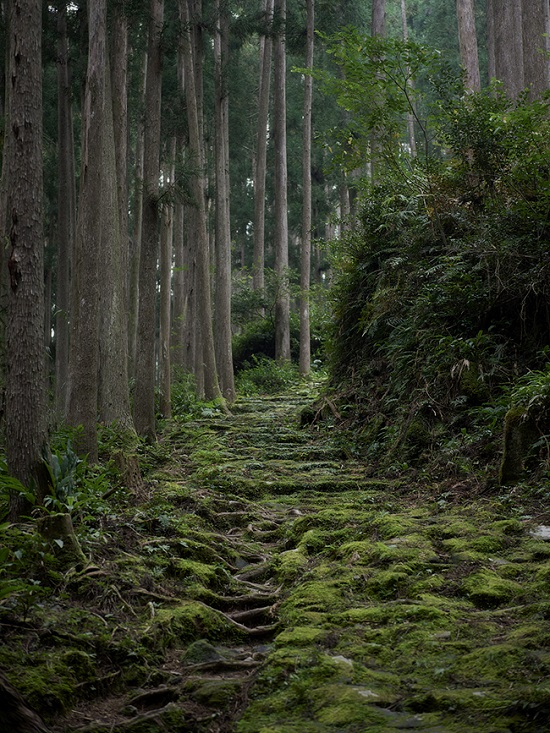 Walk37