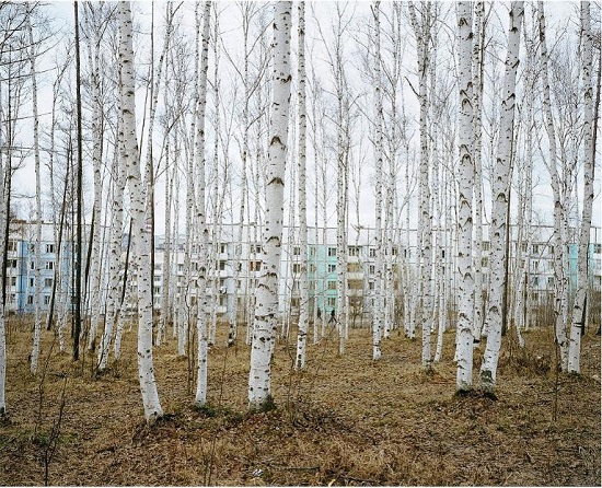 Alexander-gronsky-less-than-one-forest-apartment