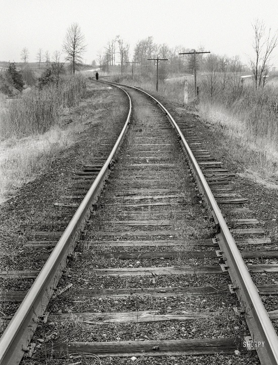 SHORPY-8b36429a