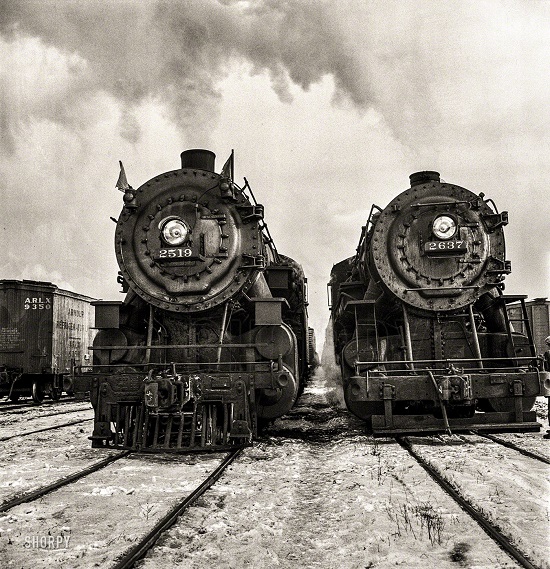 SHORPY-8d23695a