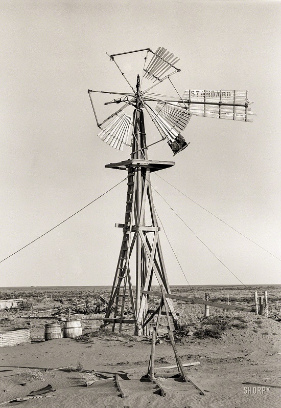 SHORPY-8b32408a1