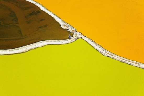 Colin-McRae-Tidelands-orange-lime-1