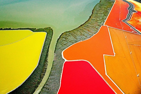 Colin-McRae-Tidelands-rainbow-fields