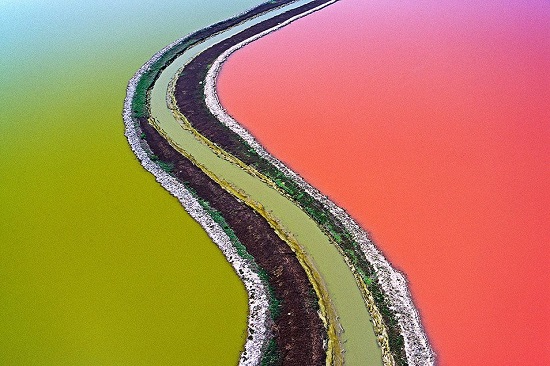 Colin-McRae-Tidelands-red-green-s