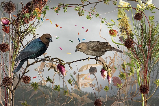 Jason-DeMarte-Wasserman-Projects-Cowbirds-and-Cake-Sprinkles