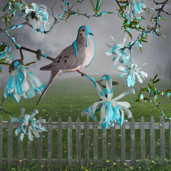 Jason-DeMarte-Wasserman-Projects-blue-mourning