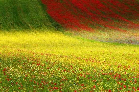 Castelluccio