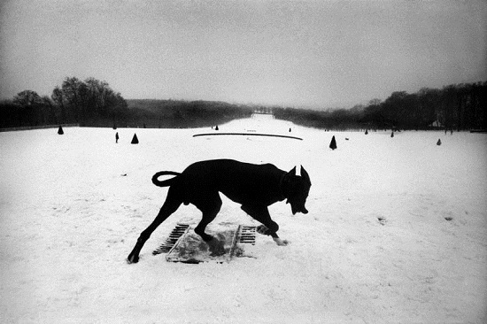 Koudelka-hauts-de-seine,parc-de-seeeaux,1987