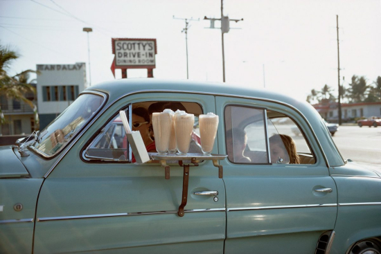 Meyerowitz-Florida-1967