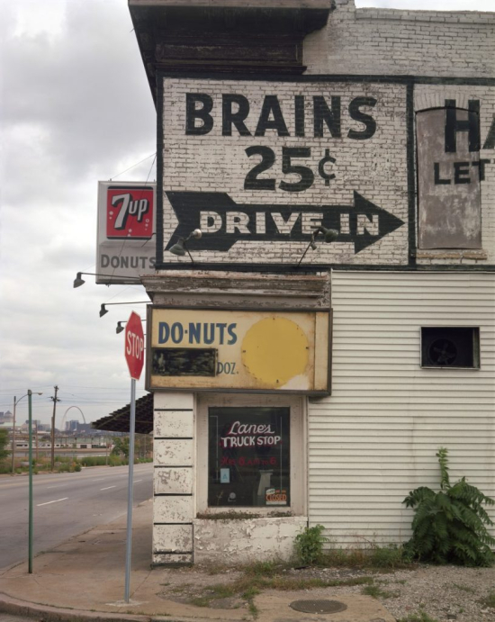 Meyerowitz-St-Louis-1978