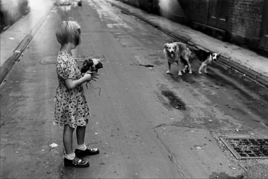 Ellioterwin-pbgh1 Ellioterwin-pbgh1