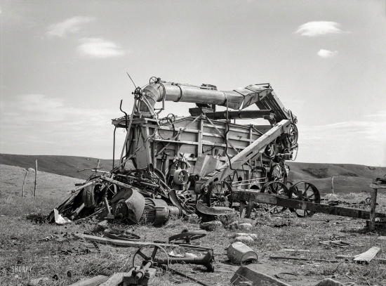 SHORPY-8b19881a