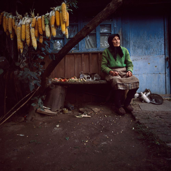 Ukraine19