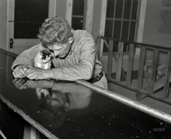 SHORPY-8b19906a1