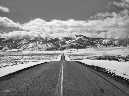 SHORPY-8b19571a