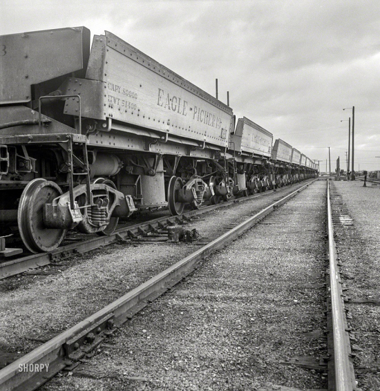 SHORPY-8d36933a
