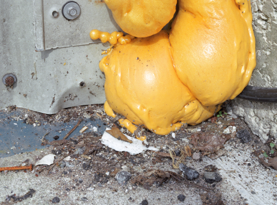 Fraser-Yellow-Polystyrene.MATERIAL