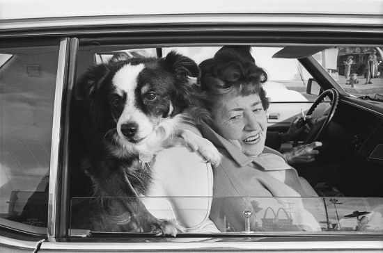 Mike-mandels-people-in-cars-1
