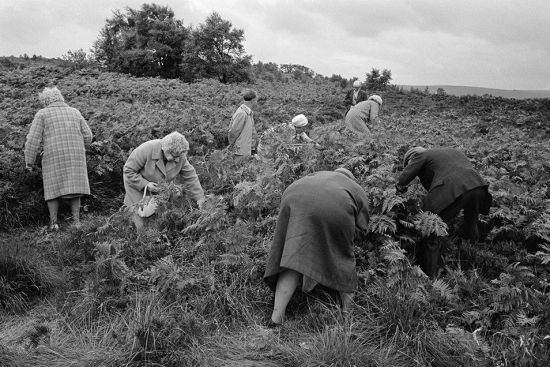 Parr-Brimham-Rocks-North-Yorkshire-England-1974-by-Martin-Parr-954x636
