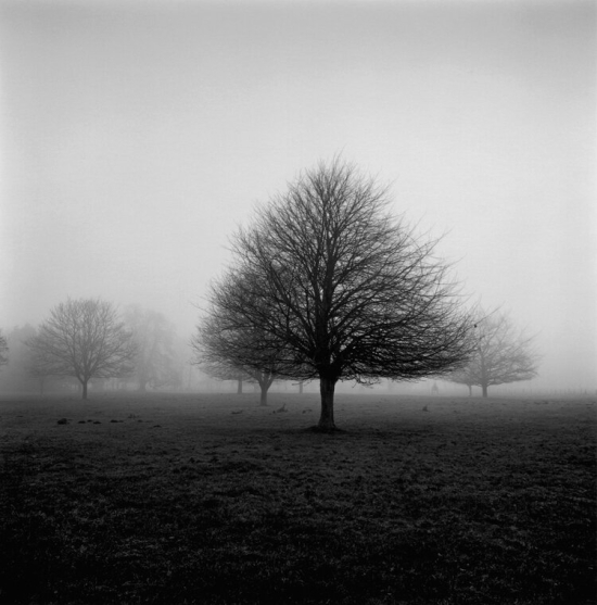 Paul-hart-brothertoft_hall_2019 Paul-hart-brothertoft_hall_2019