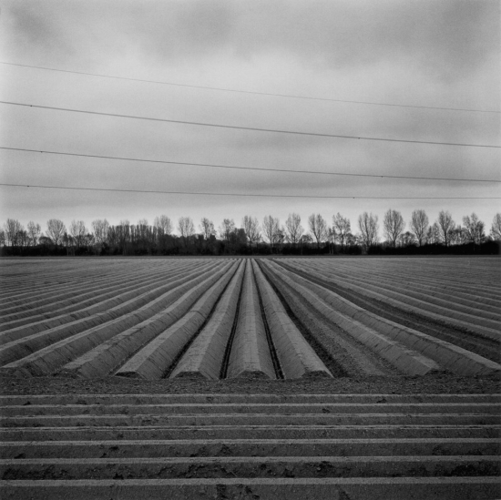 Paul-hart-walpole_st_andrew _2019 Paul-hart-walpole_st_andrew _2019