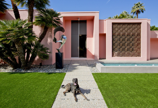 Pooch10