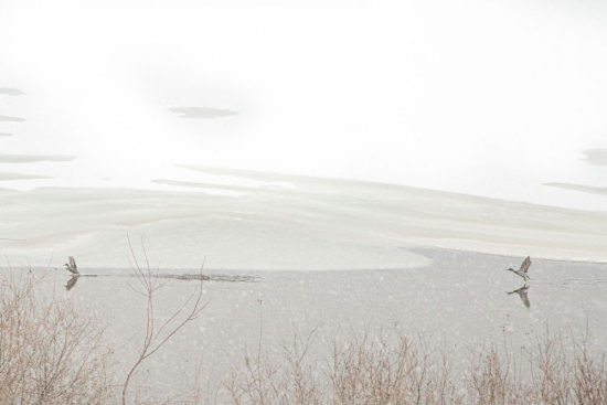 Beyond-whiteness9