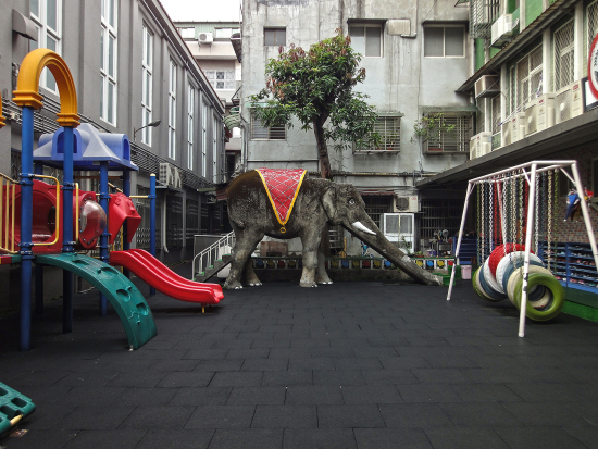 Elephant-6