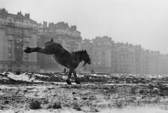 Sabine-weiss_cheval-1