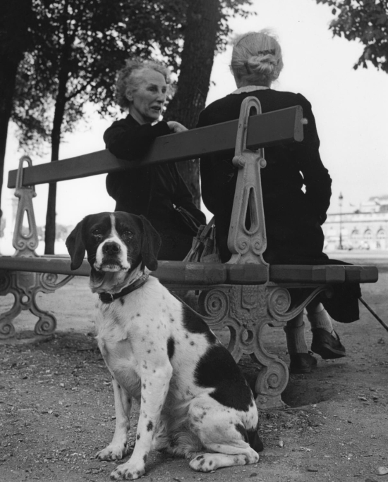 Sabine-weiss_2-femmes-et-chien-two-women-and-dog-1