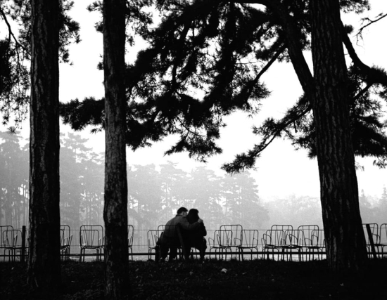 Sabine-weiss_amoureux-bois-de-boulogne-love-in-a-paris-park-1